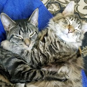 Meet your Posher, Kyla